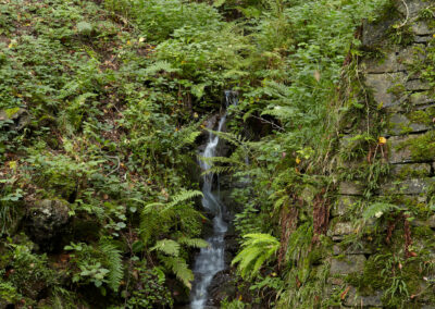 Wasserfall