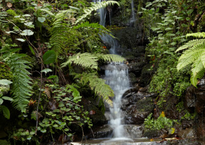 Wasserfall